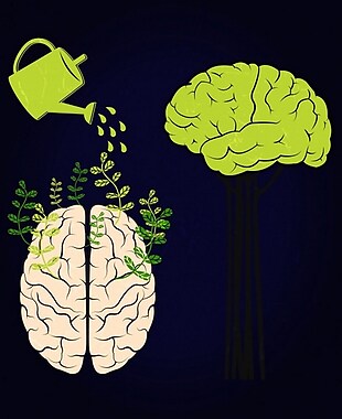 大脑的成长背景淋壶图标设计