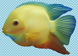 手绘可爱彩色的鱼免抠png透明图层素材