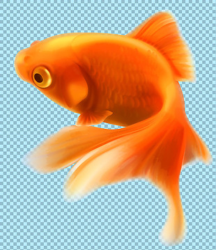 手绘橙色金鱼图片免抠png透明图层素材