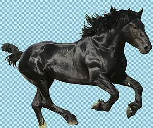 黑色奔腾的骏马免抠png透明图层素材