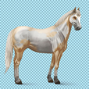 白色手绘骏马免抠png透明图层素材