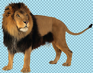 棕色的狮子免抠png透明图层素材