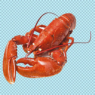 红色美味龙虾免抠png透明图层素材