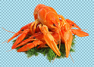 美味的龙虾免抠png透明图层素材