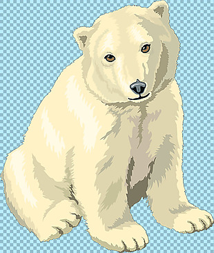 蹲着的北极熊免抠png透明图层素材
