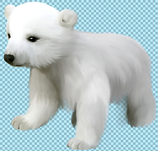 可爱的小北极熊免抠png透明图层素材