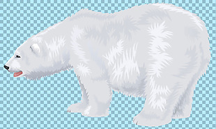 银白色北极熊免抠png透明图层素材