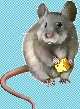 手绘可爱老鼠免抠png透明图层素材