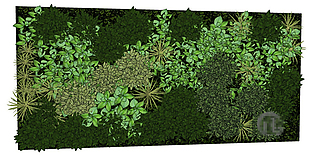 景观墙绿化植物墙SU草图大师skp模型