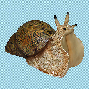软体小动物蜗牛免抠png透明图层素材