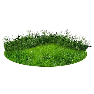 绿色草坪png透明元素