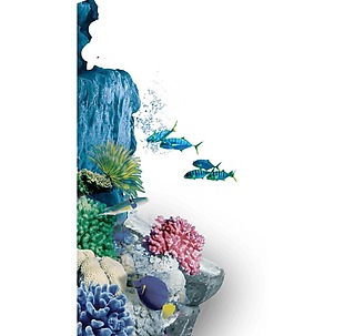 海底生物景象png元素