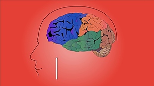 人物大脑医疗视频