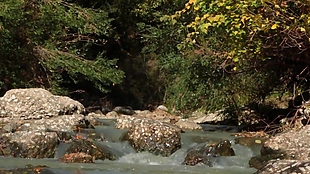 河流小溪石头素材