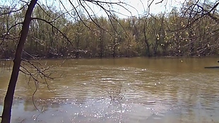 泥沙河流视频素材