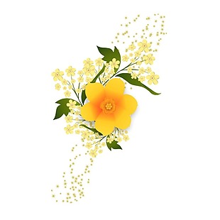 黄色小花png透明元素