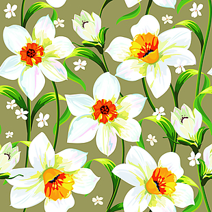 白色植物花朵背景