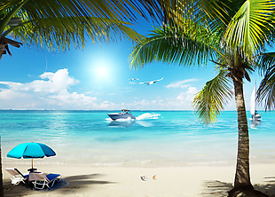 海滩帆船海鸥铁树蓝色背景
