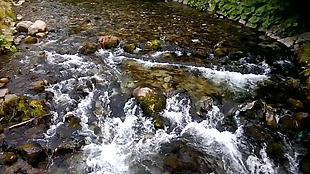 河流小溪视频素材