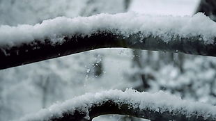 树枝雪景视频素材