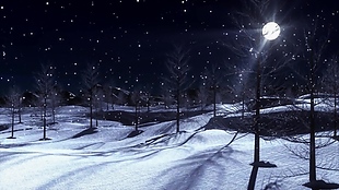 森林雪景夜景风光视频