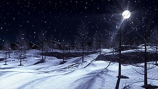 雪景夜景视频素材