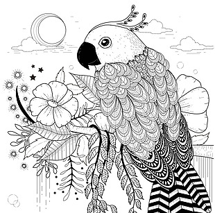 黑白手绘复古的鹦鹉插画