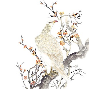 手绘中国风花鸟图元素