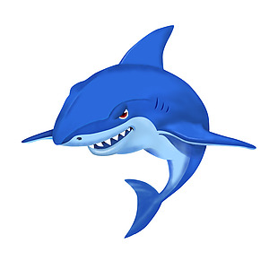 鲨鱼插画素材