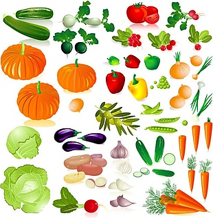 蔬菜食材矢量素材