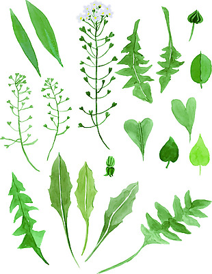 矢量绿色植物卡通装饰元素