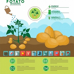 土豆种植矢量素材
