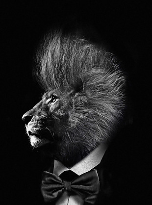 黑色西装狮子头H5背景素材