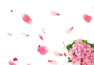 手绘浪漫玫瑰花瓣元素