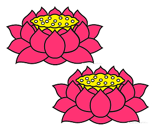 粉色莲花