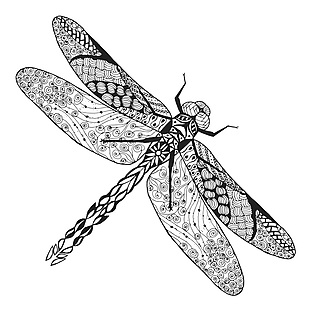 蜻蜓动物黑白线稿纹身图案印花矢量