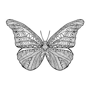 蝴蝶动物黑白线稿纹身图案印花矢量