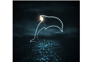 夜晚大海里的海豚插画