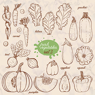 手绘线条蔬菜插画