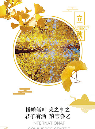 黄色树叶立秋素材