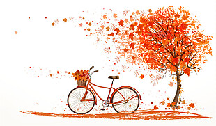秋树落叶下的自行车