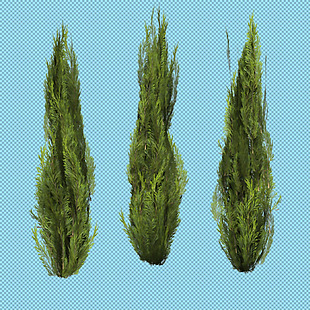 绿色灌木免抠png透明图层素材