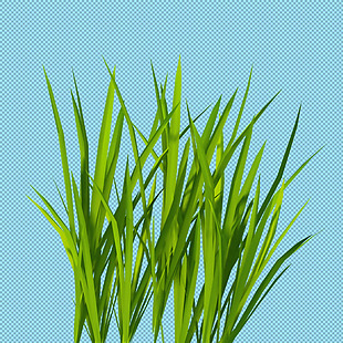新鲜绿草免抠png透明图层素材