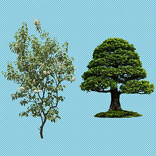 两棵树免抠png透明图层素材
