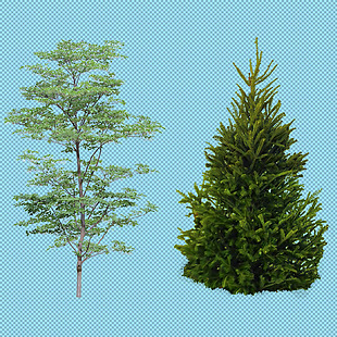 绿色的树免抠png透明图层素材