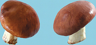蘑菇香菇免抠png透明图层素材