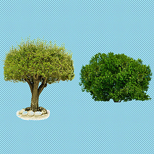 ；两棵绿色的树免抠png透明图层素材