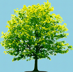 春天绿色大树免抠png透明图层素材