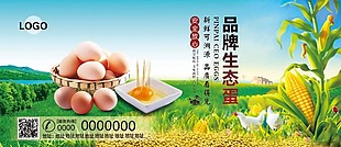 鸡蛋促销海报