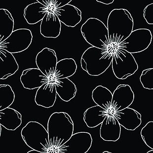黑白色手绘花卉背景素材